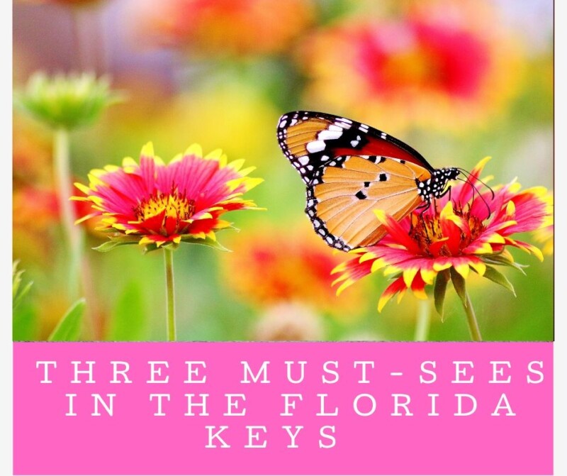 A Walking Tour of Key West, Florida with a Map Commercial Real Estate