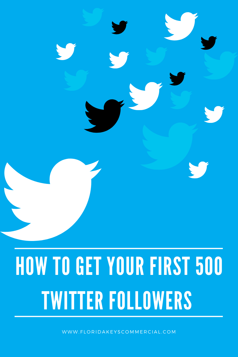 How to Get Your First 500 Twitter Followers
